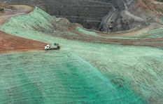 Hydromulching HGM Hillgrove Resources